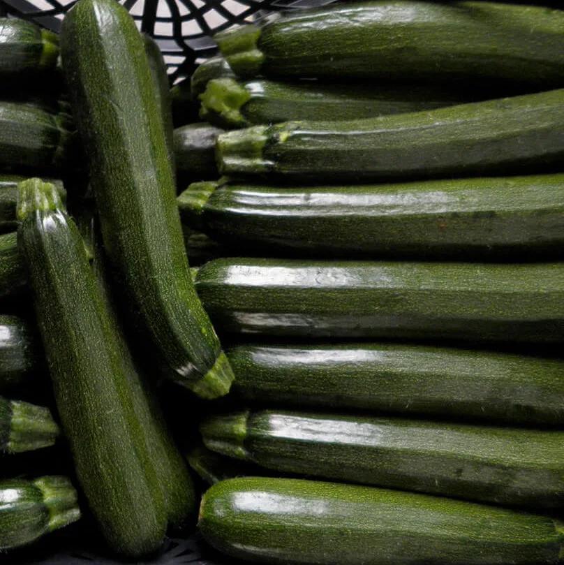Zucchino Genovese – 30 Semi – Zucchino Tradizionale, Frutti Chiari e Cilindrici, Sapore Delicato, Ideale per Orto e Cucina, Produttivo, Non-GMO