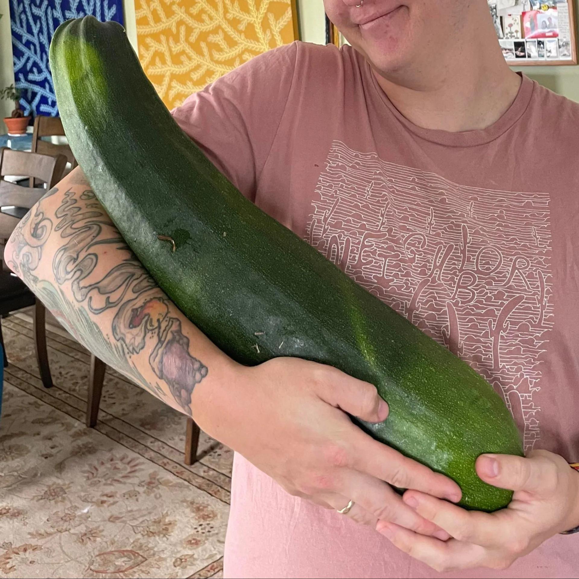 Zucchine Giganti Frutti Oltre 4kg – 15 Semi – Zucchine Enormi, Produttive, Ideali per Zuppe e Conserve