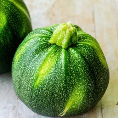 Zucchina Tonda di Toscana – 15 Semi – Zucchina Tonda, Sapore Delicato, Ideale per Fritture e Ripieni, Tipica Toscana, Non-GMO