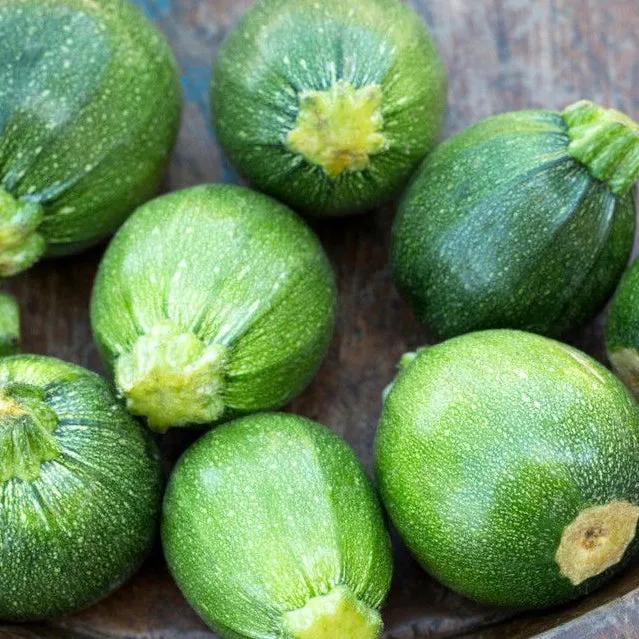 Zucchino Rotondo Chiaro di Piacenza – 15 Semi – Zucchina Tonda Chiara, Sapore Delicato, Ideale per Ripieni